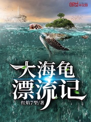 海龟大冒险动画片