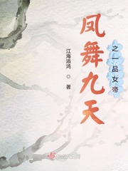 凤舞九天系列小说