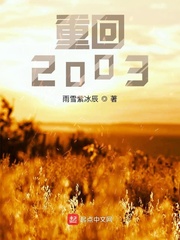 重回2003年高考陈泽小说