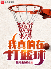 我真的在打篮球起点中文网