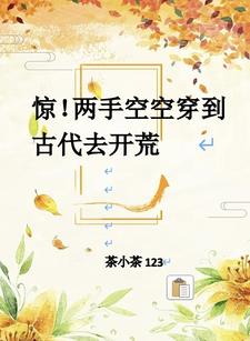 这个游戏设计师有点坏 小说