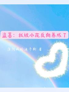 林洋苏沐秋小说名字